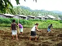 Students gardening at the Stuyvenberg RTC, presumably in 2011.