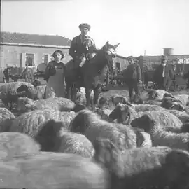 Yitzhak Volcani with his daughter Tzafira and wife Sara in Ben Shemen, 1912