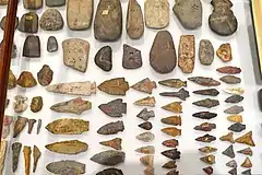 Artifacts at the Peabody Museum of Archaeology and Ethnology