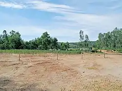 Bình Thanh Đông fields