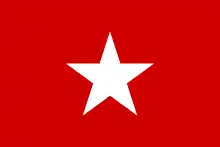 Indonesian Socialist Youth