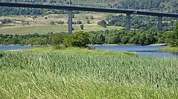 Bodinbo Island from the Clyde Coastal Path