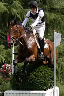 Dirk Schrade riding King Artus in the team eventing
