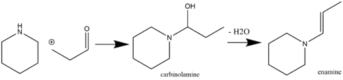 Enamine synthesis with a carbinolamine intermediate.