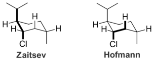 The Hofmann product is formed exclusively because the anti-periplanar geometry necessary for the Zaytsev product is impossible.