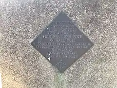 Lone Pine tree (Pinus brutia) at the Victorian School of Forestry (Creswick). Planted 1965, dedicated in 1975.