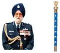 Marshal of the IAF's baton