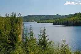 cGuire Reservoir along Meadow Lake Road in the Coast Range mountains. Yamhill County.