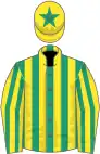 Emerald green and yellow stripes, yellow and emerald green striped sleeves, yellow cap, emerald green star
