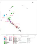 PC1vsPC2 plot based on whole genome SNP data per Kushniarevich et al. (2015)