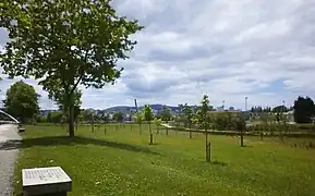 Granite benches by Jenny Holzer