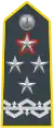 Shoulder insignia of a comandante generale of the Guardia di Finanza
