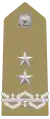 Generale di Divisione(Maggior Generale)(Italian Army)