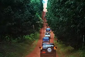 Dirt road from Dizangué to Edéa