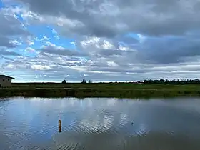 Shrimp farm behind Romy's in Kahuku
