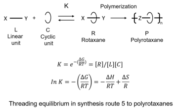 Threading equilibrium in synthesis route 5 to polyrotaxanes