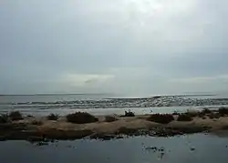 Tidal mud flats, East Mersea