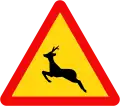 231: Deer or wild animals