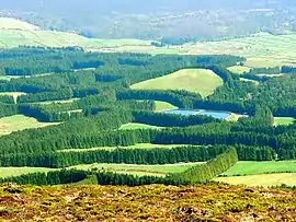 The forested vista as seen from the Serra da Santa Bárbara